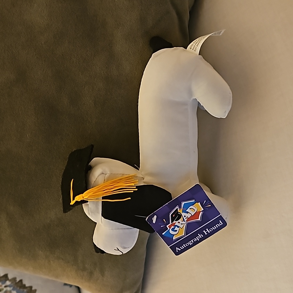 Graduate autograph dog